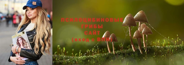 spice Алзамай