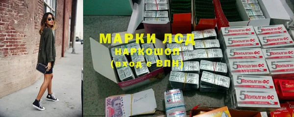 spice Алзамай