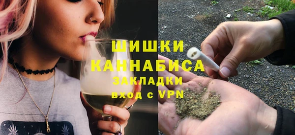 СК Пересвет